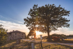Masseria Del Bosco - Podere Palazzone Chianciano Terme